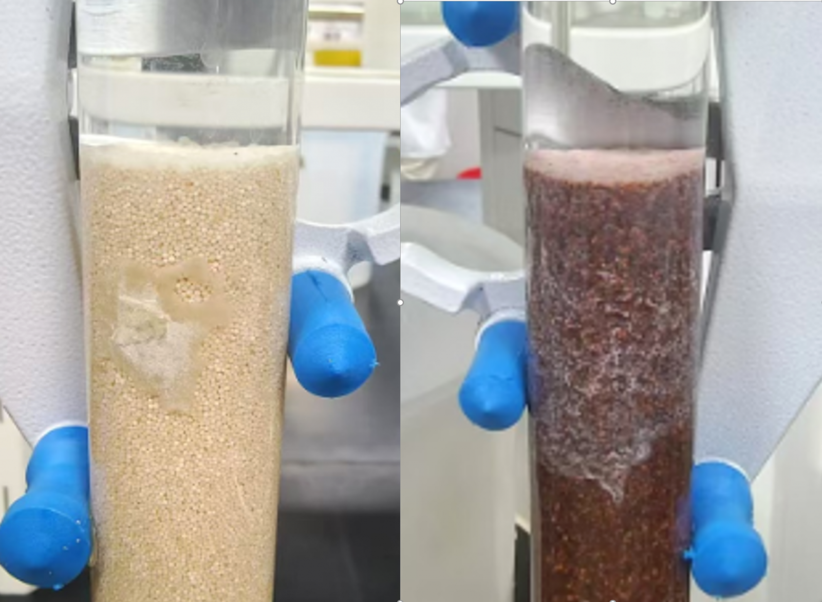 银娱优越会7176111(百度)有限公司